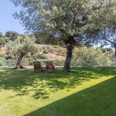 Alegria 4* Marbella